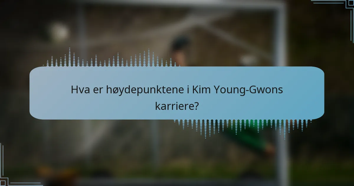 Hva er høydepunktene i Kim Young-Gwons karriere?